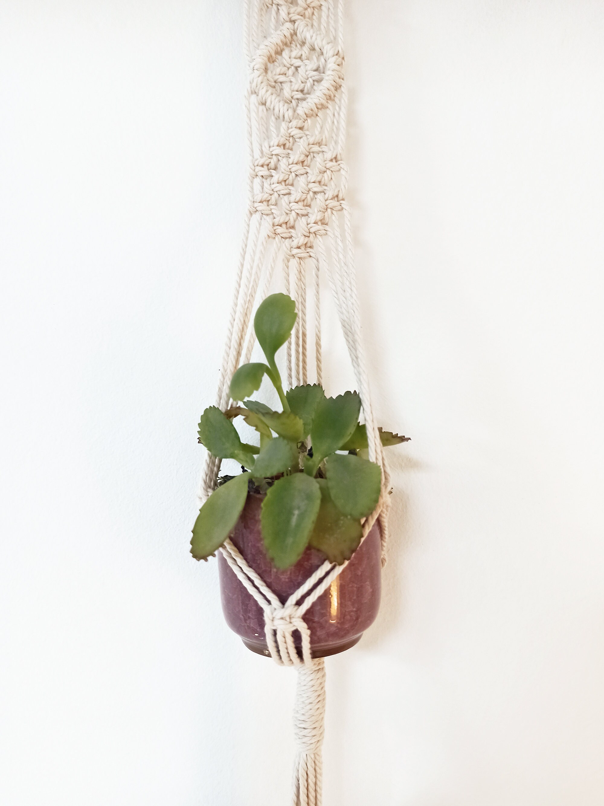 Macrame Wall hanging, Plant hanger baby succulent, Macramé