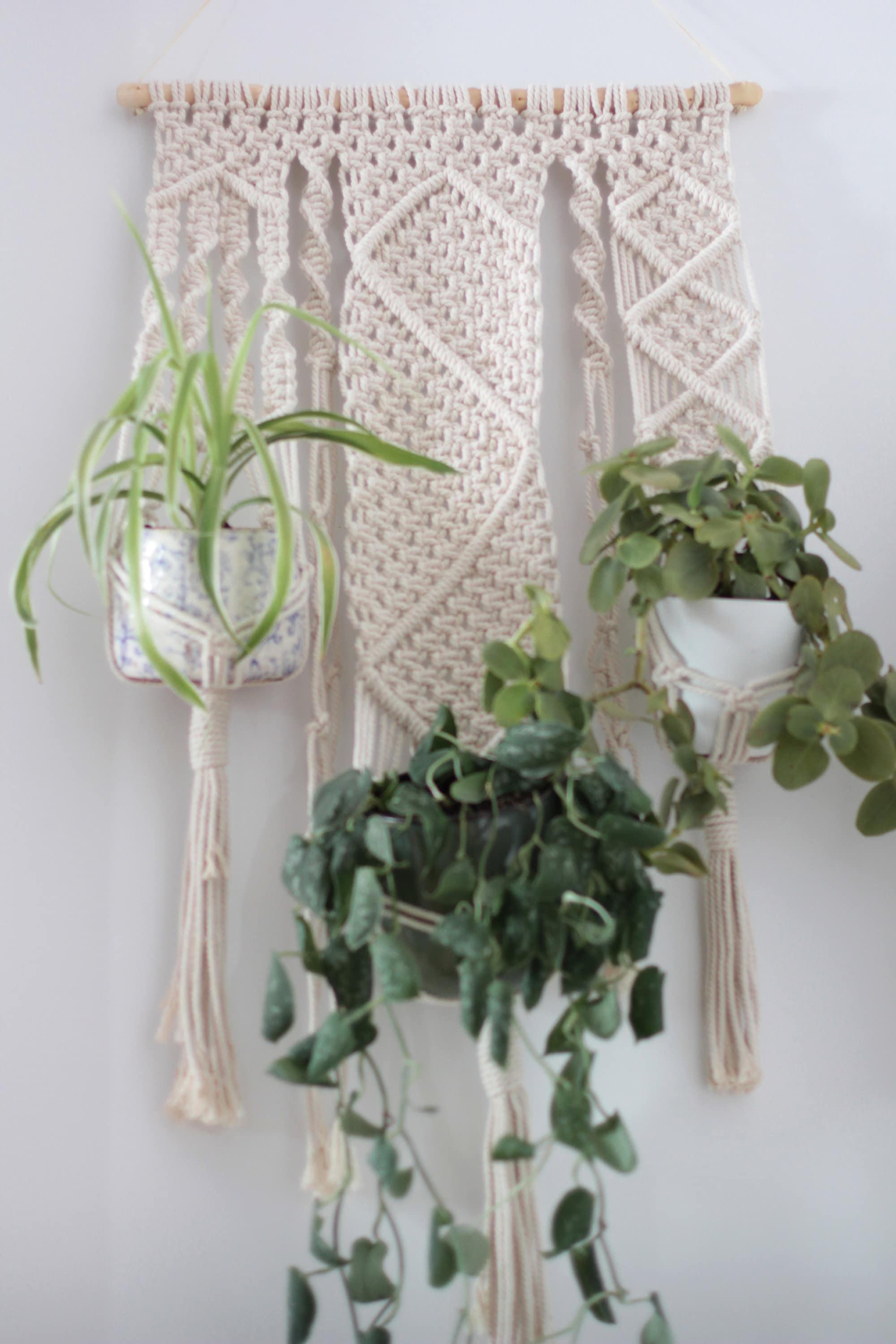 Macramé Wall hanging, Mother�s day gift, Fiber plant