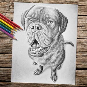 Dog Coloring Adult Coloring Pages Coloring Book PDF Page - Etsy