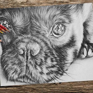 Adult Coloring Page Dog Coloring Pages Instant Download Etsy