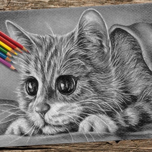 cat coloring page adult coloring pages printable download etsy