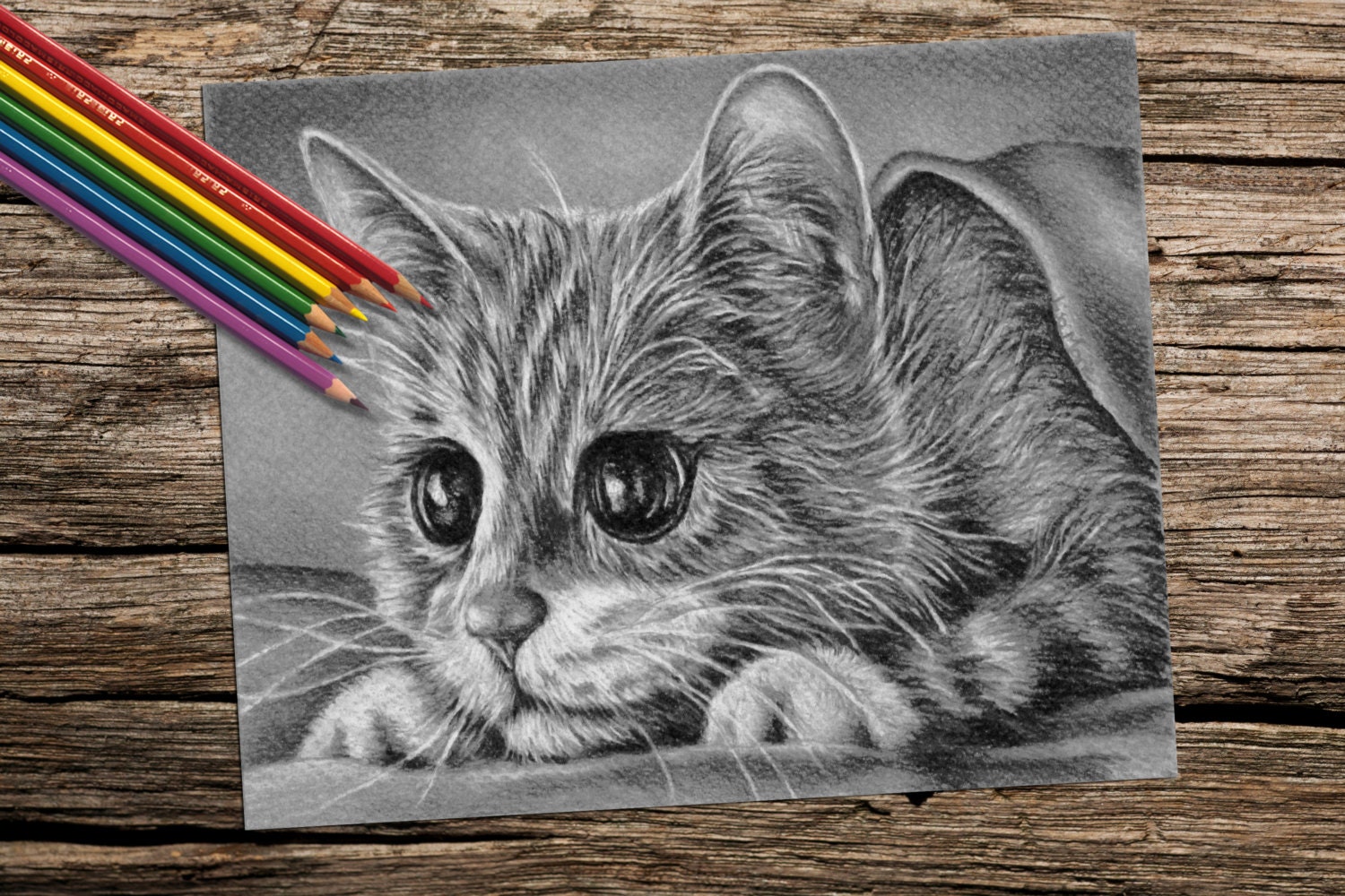 Cat Coloring Pages for Adults - APK Download for Android