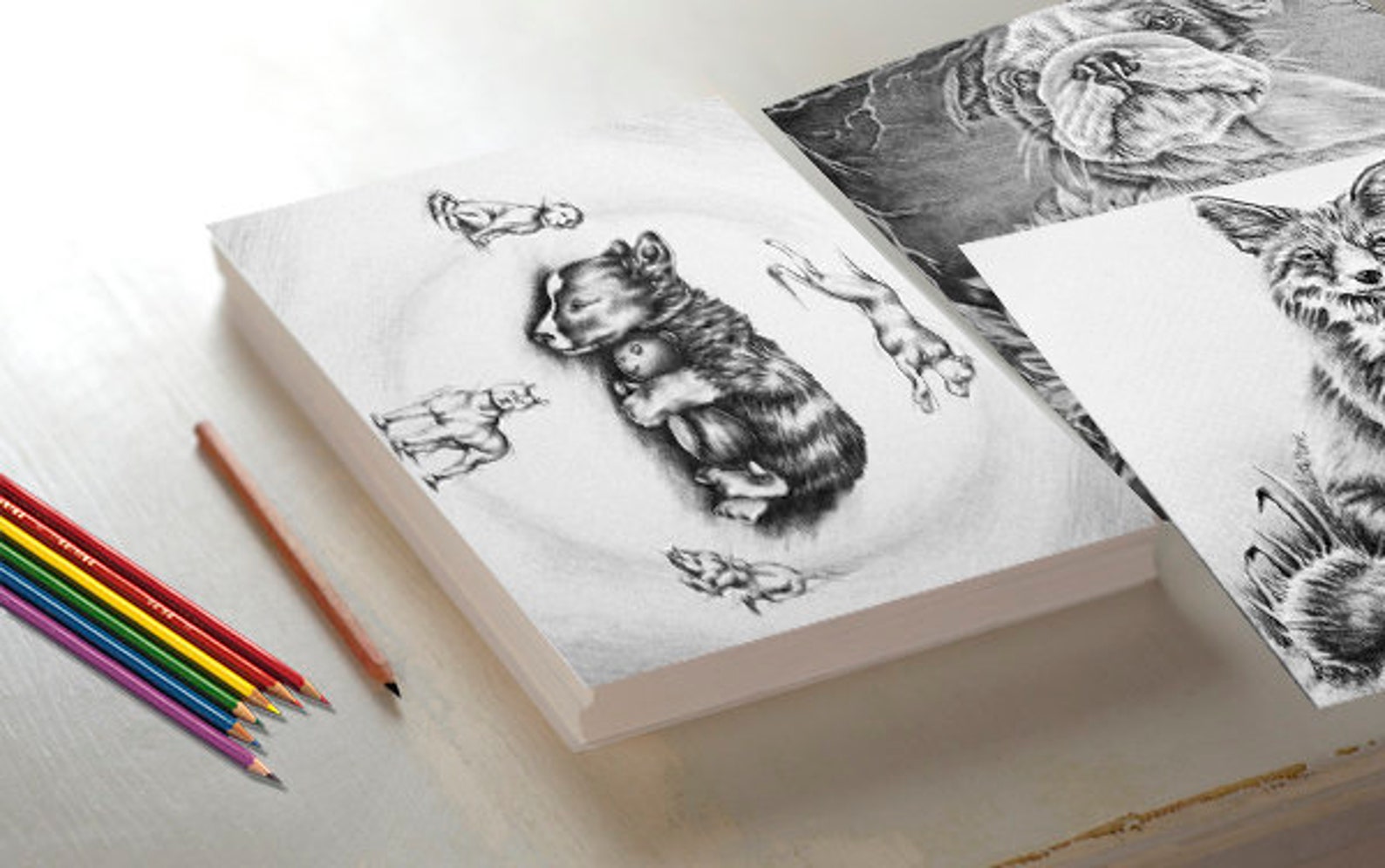 Corgi Dog Coloring Page Adult Coloring Pages Printable - Etsy
