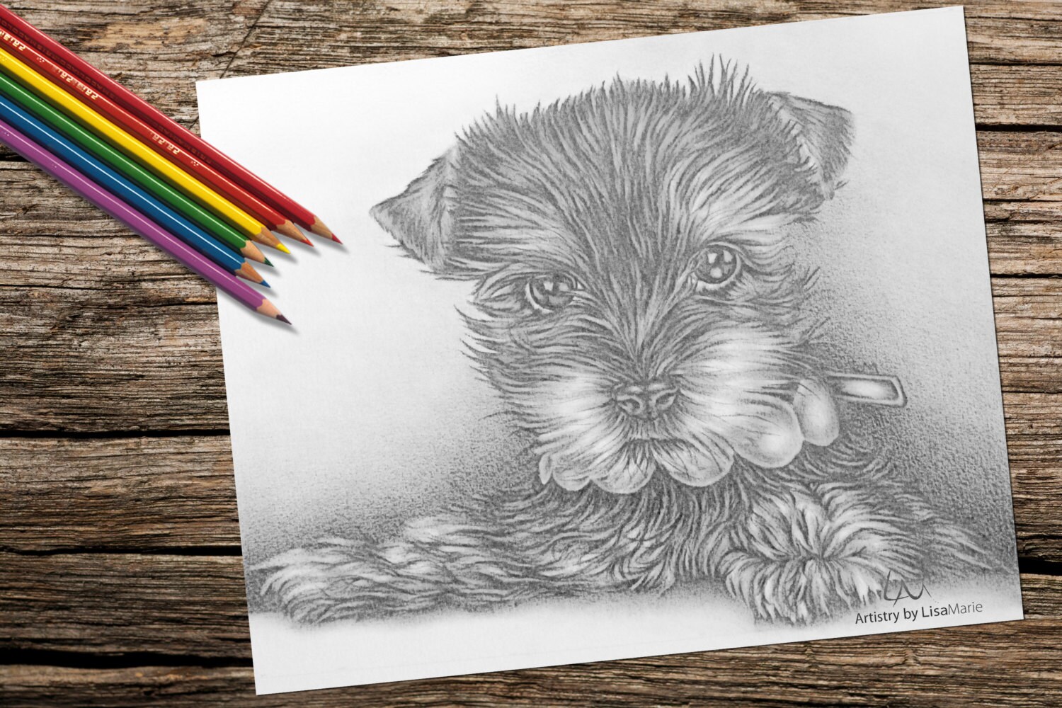 colouring pages adult coloring page puppy dog instant etsy