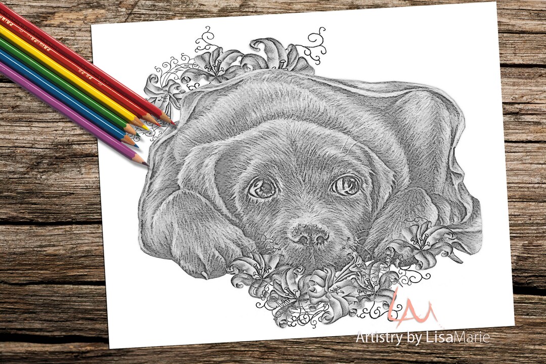 Adult Coloring Page Dog Coloring Page Coloring Pages Adult - Etsy