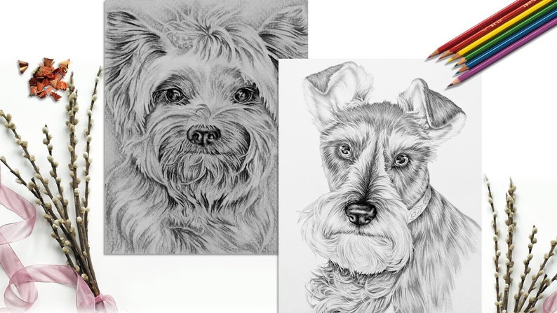 9100 Colouring Pages To Download Images & Pictures In HD 9100 Colouring Pages To Download Images & Pictures In HD