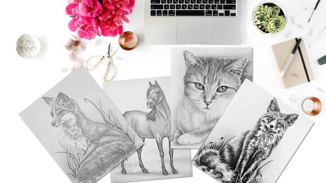 Colouring Pages Printable Coloring Page Adult Coloring Page - Etsy