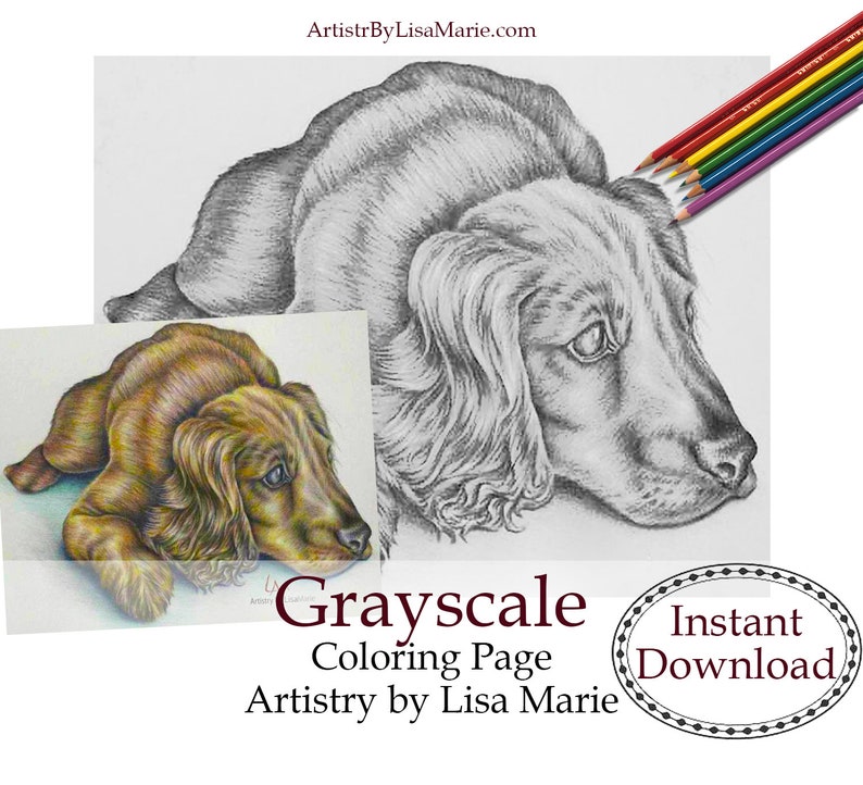 Printable Pet Coloring Page Coloring Book for Adults Instant Etsy