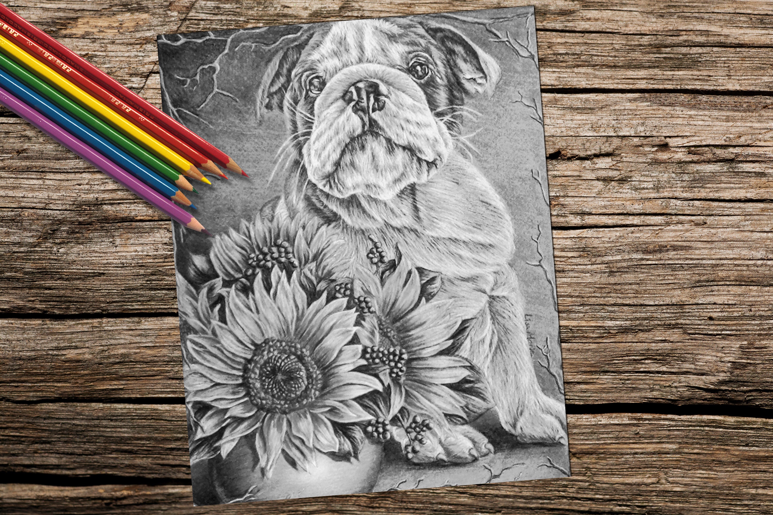 Printable Coloring Sheets Crafts Kits for Adults Craft | Etsy