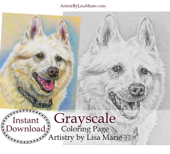 Download Craft Kits For Adults Coloring Book Page Best Selling Etsy
