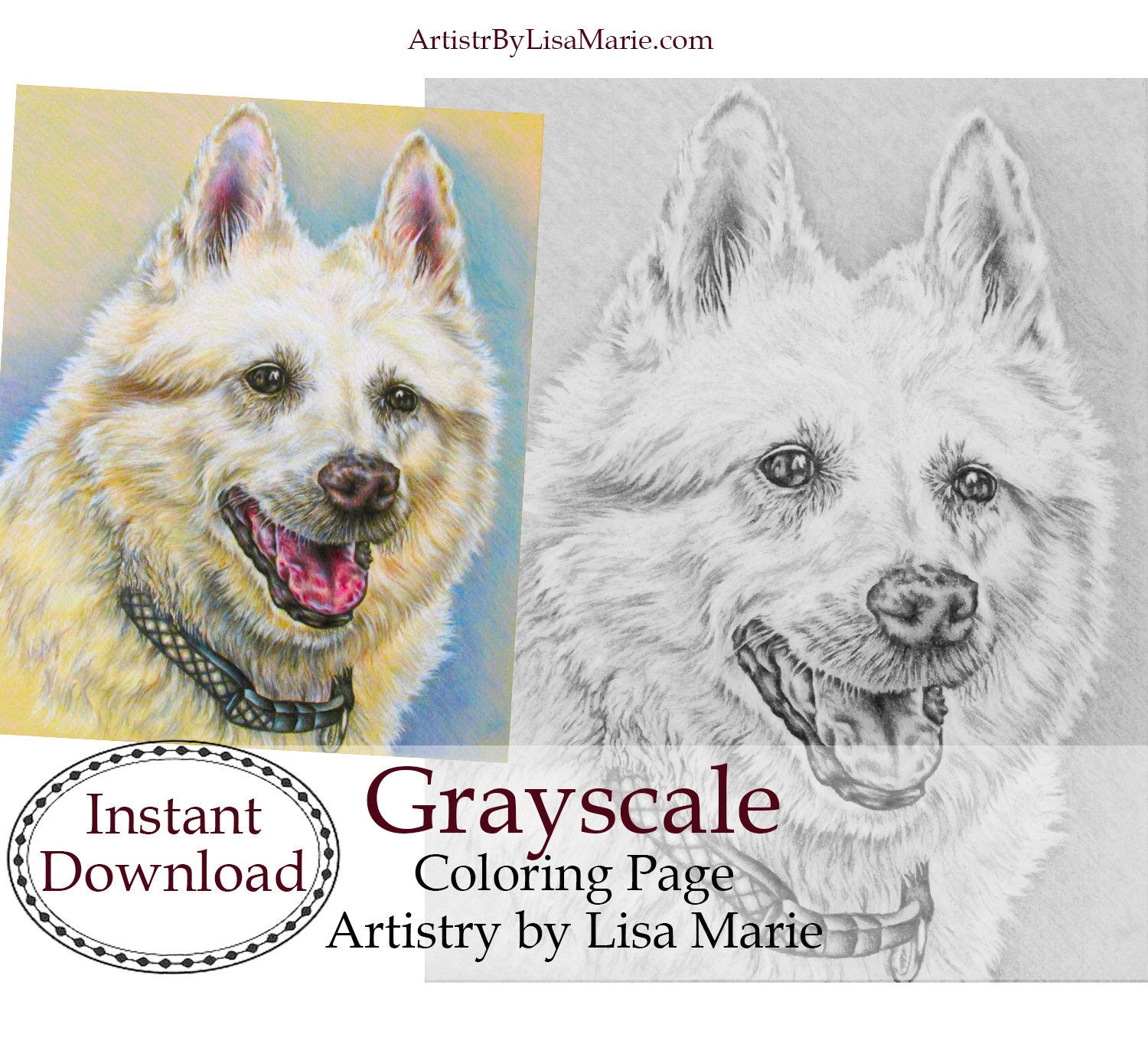 Download Craft Kits For Adults Coloring Book Page Best Selling Etsy