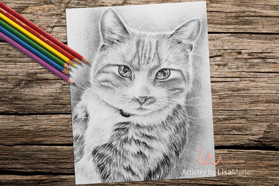 Kitten Cat Coloring Book Page, Adult Coloring Book, Coloring Page, Adult  Coloring Pages, Coloring Book for Adult, Best Selling, Cat Art 