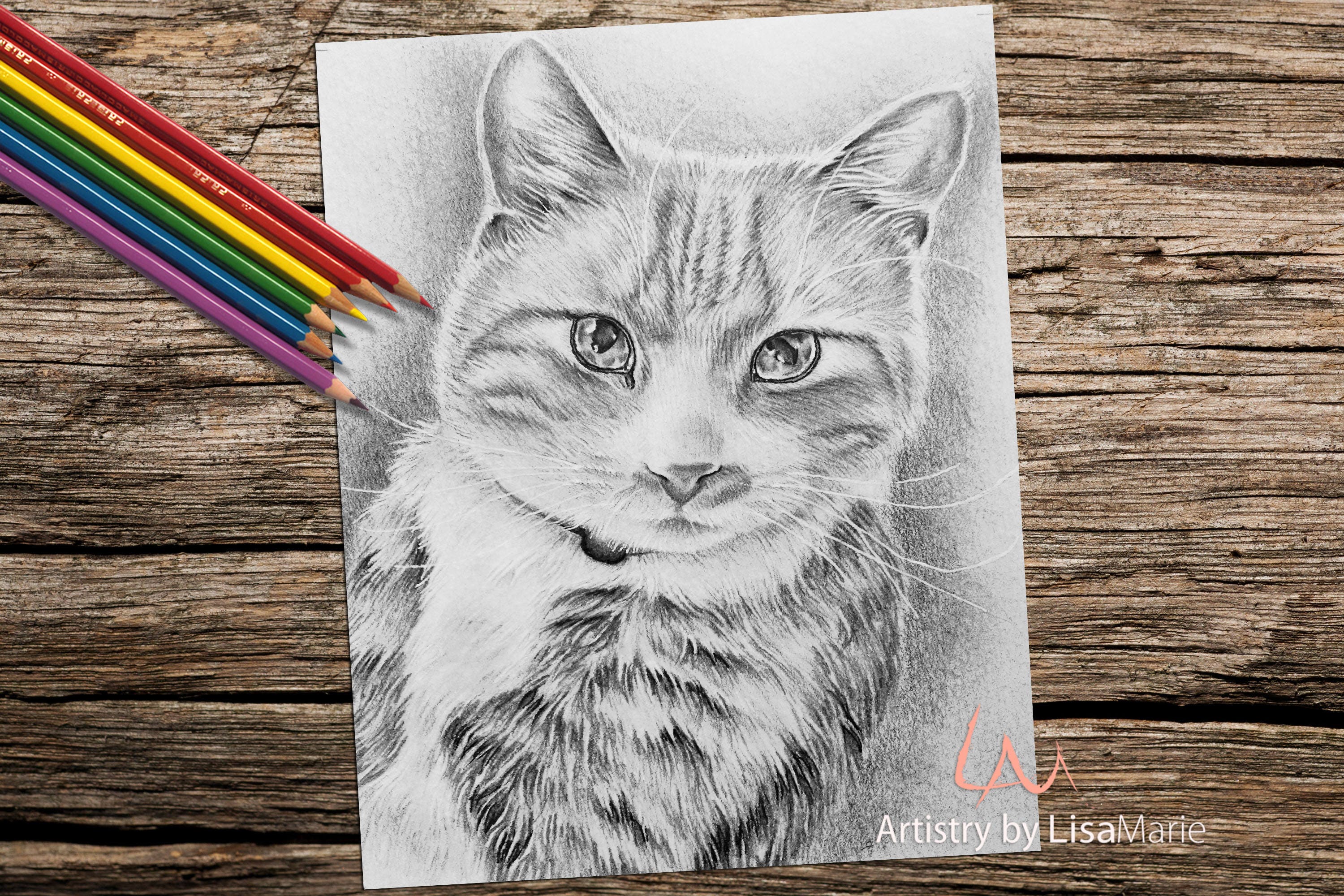 Cat Coloring Book For Adults And Older Children Decorative Cat Handdrawn  Vector Illustrations Decorated With Decorative Buttons For Sewing Stock  Illustration - Download Image Now - iStock