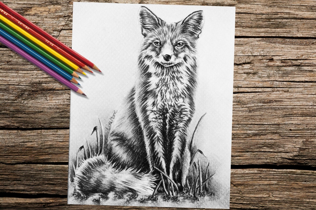 Adult Coloring Page Coloring Pages Printable Instant - Etsy