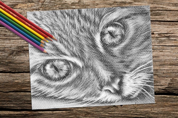 Restez à la maison, page de coloriage pour adulte pour kit d'artisanat,  amoureux des chats, livre de coloriage PDF pour adultes, coloriage en  niveaux de gris Cat Lady -  France