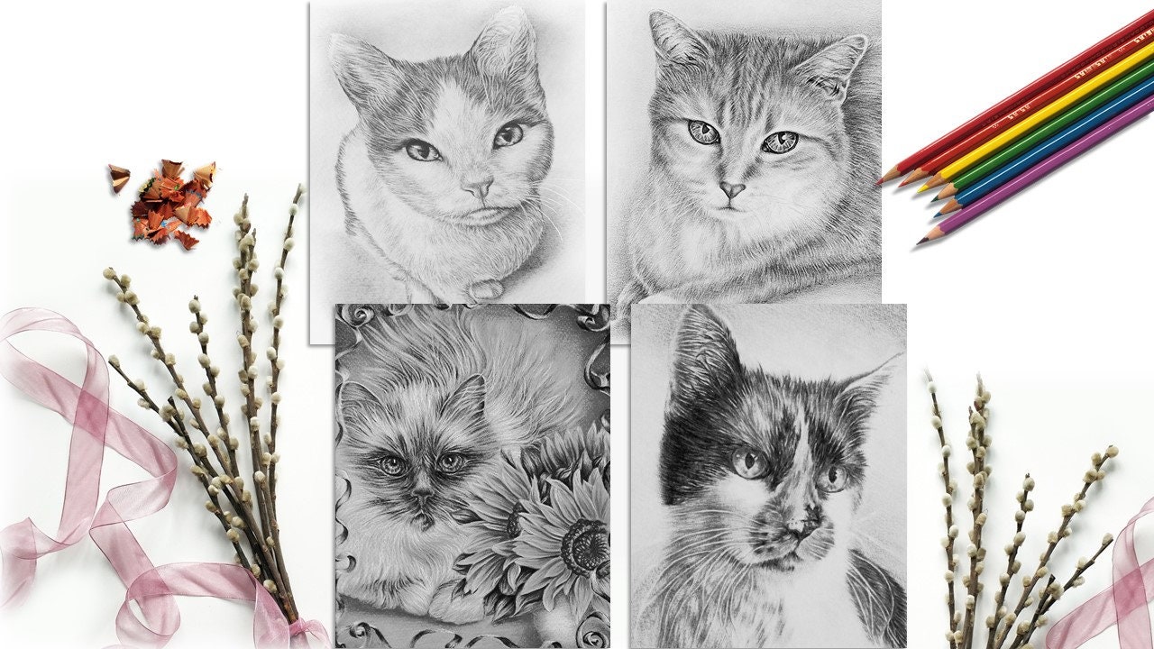 cats printable coloring pages adult coloring page instant etsy singapore