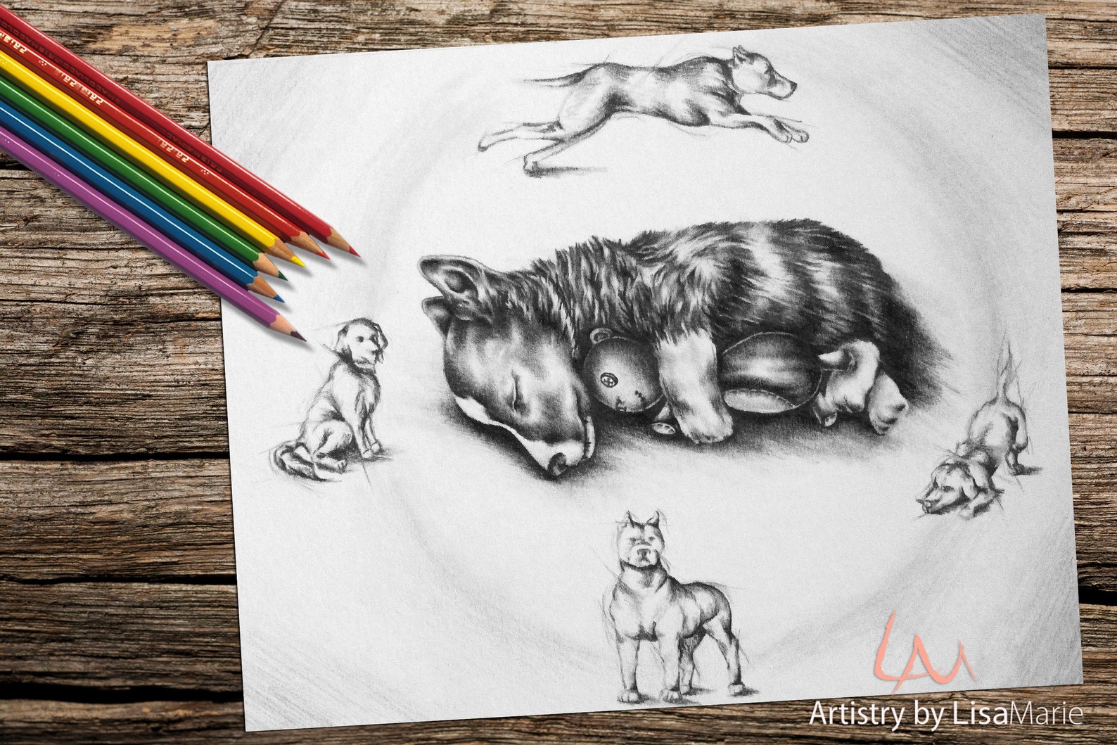 Corgi Dog Coloring Page Adult Coloring Pages Printable - Etsy