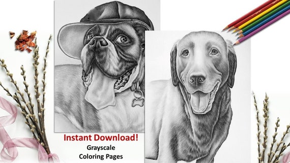 Download Instant Pdf Download Boxer And Labrador Coloring Pages Pdf Etsy