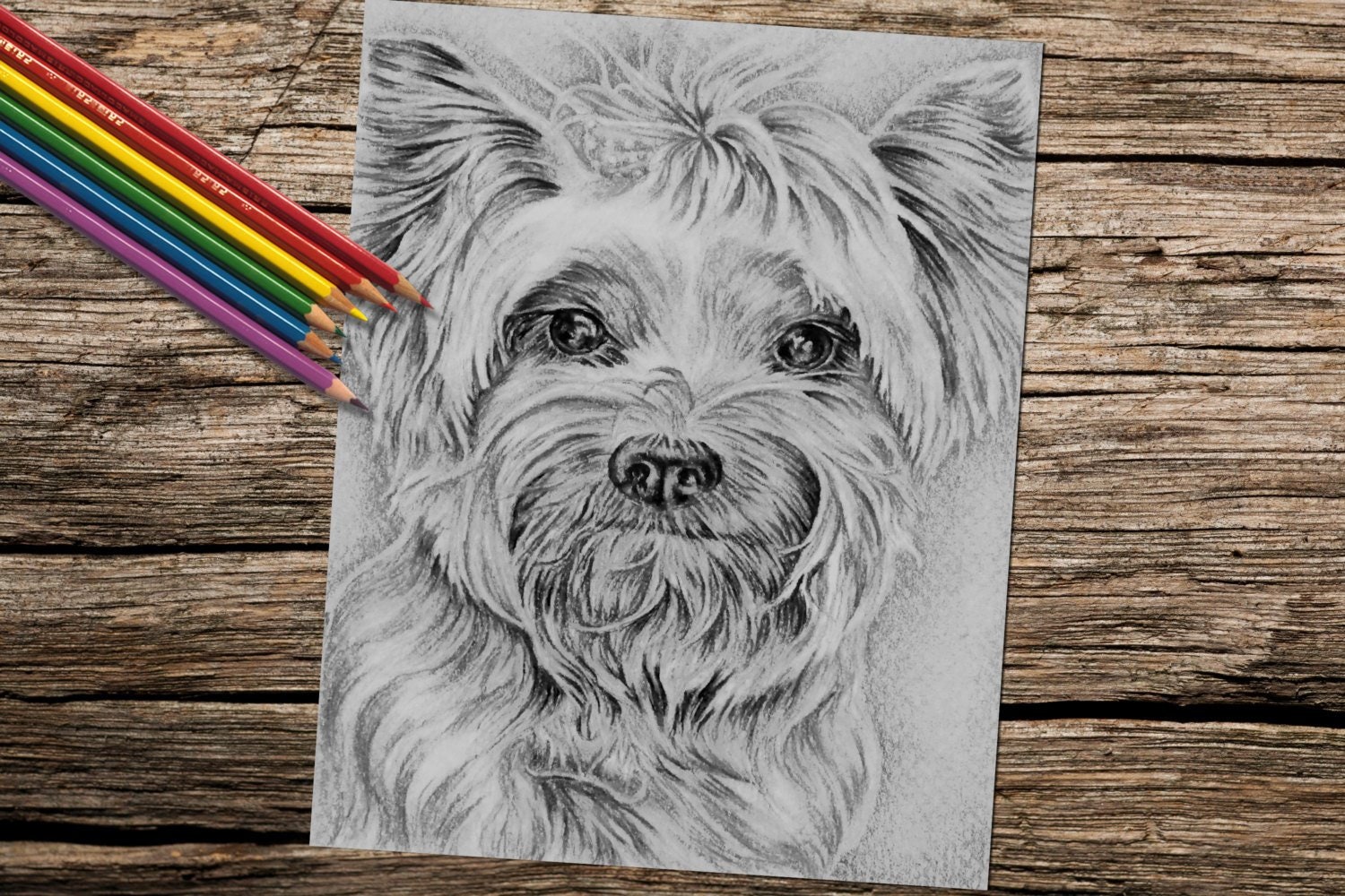 Yorkie Dog, Adult Coloring Page, instant download Coloring, Coloring Book  For Adults, Best Selling Items, adult coloring book, dog coloring