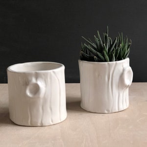 Handmade Ceramic white woodgrain planter housewarming gift modern succulent white planter Woodgrain planter image 6