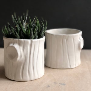 Handmade Ceramic white woodgrain planter housewarming gift modern succulent white planter Woodgrain planter image 2