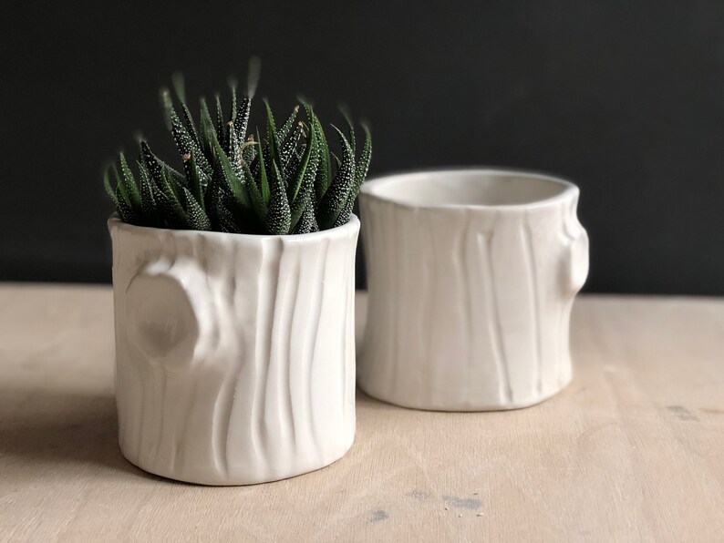 Handmade Ceramic white woodgrain planter housewarming gift modern succulent white planter Woodgrain planter image 2