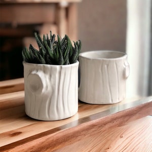 Handmade Ceramic white woodgrain planter housewarming gift modern succulent white planter Woodgrain planter image 3