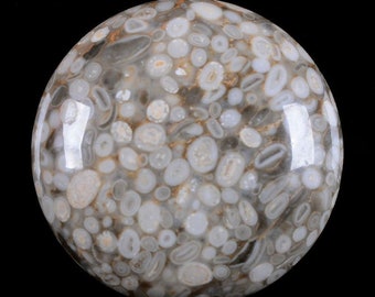 220054010 10mm White Fossil Jasper Beads Round Beads 10.5mm 15 Inch