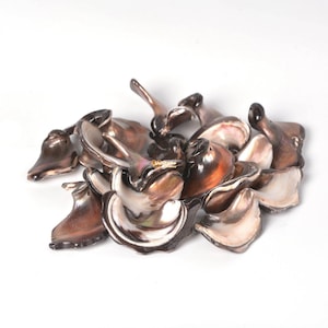 Könnte beinhalten: Ein Haufen irisierender brauner und weißer Muscheln mit Perlmutt-Glanz. Die Muscheln sind in verschiedenen Formen und Größen, und einige haben einen leicht gekräuselten Rand.