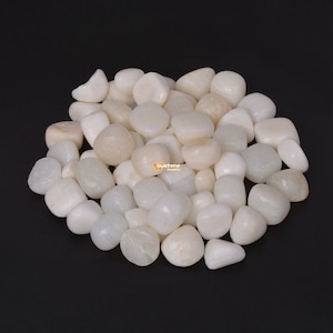 Tridacna Shell Gemstone Polished Chips Crushed Tumbled Stone Crystal Healing Embellishments 100 Grams