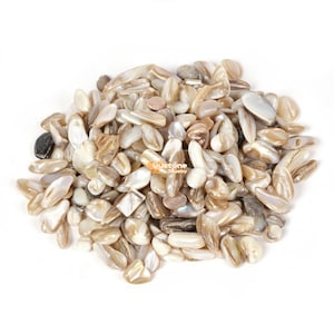 May include: A pile of iridescent white and brown mother of pearl shell chips. The chips are various shapes and sizes.
