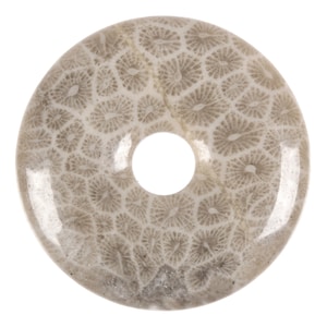 30mm Coral Fossil donut gemstone pendant focal bead