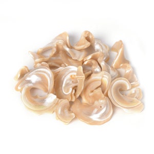Puede incluir: Un montón de cuentas de color beige iridiscente con forma de concha. Las cuentas son lisas y tienen un aspecto natural y orgánico.