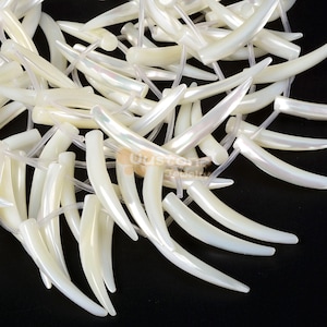 Może przedstawiać: Szereg białych, opalizujących koralików z muszli w kształcie zakrzywionego rogu. Korale są nawleczone na przezroczystą gumkę.