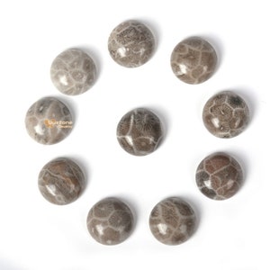 May include: Ten round, light brown fossilized coral cabochons with a white pattern. The cabochons are arranged in a circle on a white background.