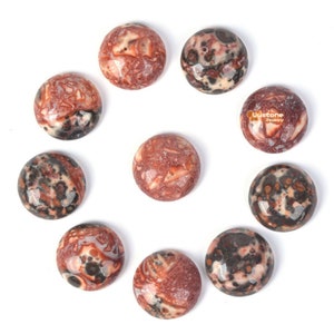 May include: Ten round, polished, red, white, and black jasper cabochons. The cabochons are arranged in a circle on a white background.