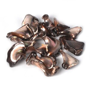 Könnte beinhalten: Eine Gruppe von irisierenden braunen und schwarzen Abalone-Muschelstücken. Die Muscheln sind glatt und haben einen Perlmuttglanz.