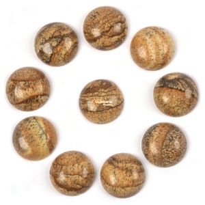10 pcs of 14mm Picture Jasper round flatback cab cabochon
