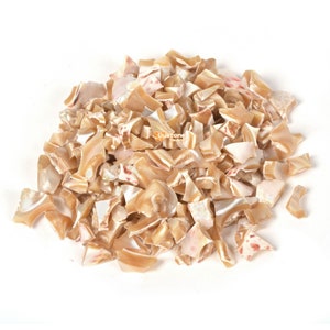 May include: A pile of iridescent, light brown and white shell pieces. The shell pieces are irregular in shape and size.