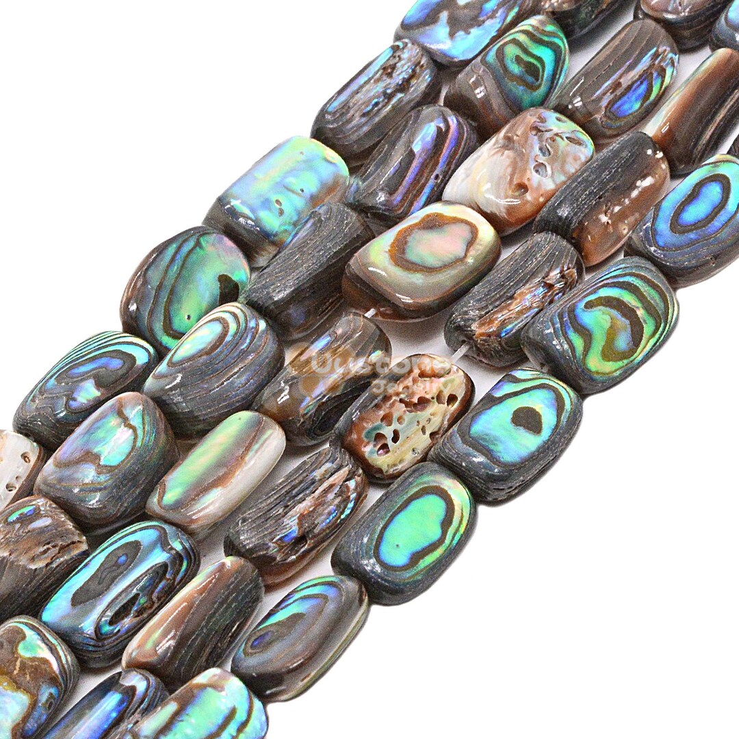 14mm Abalone Shell Irregular Rectangle Loose Beads 15.5