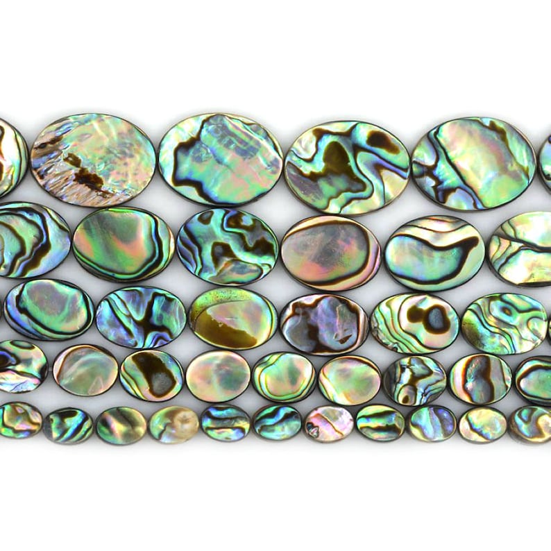 8mm to 20mm New Zealand Abalone Shell Flat Oval Loose Beads Etsy