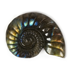 K30317 47mm Labradorite Carved Spiral Snail Pendant, Stone For Jewelry Making