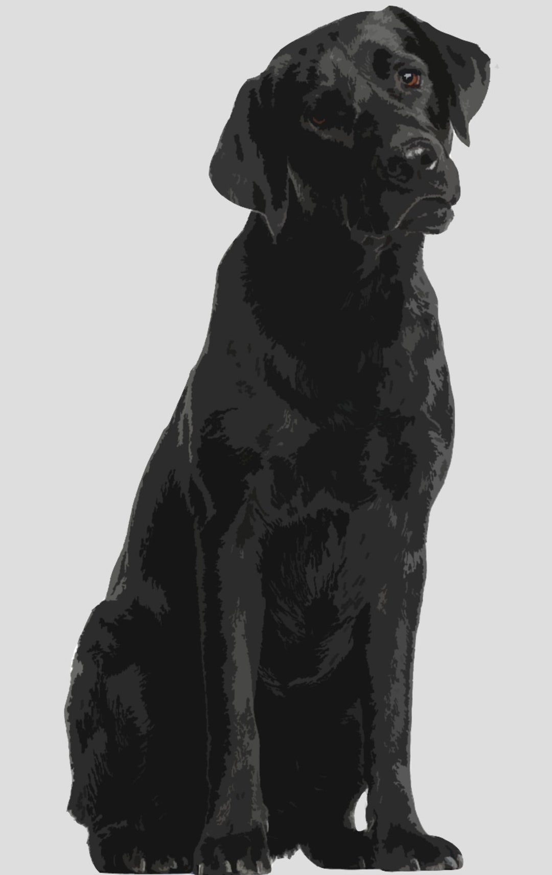 Labrador Lab PNG, Dog Design, PNG Design, Digital Download, Black Lab