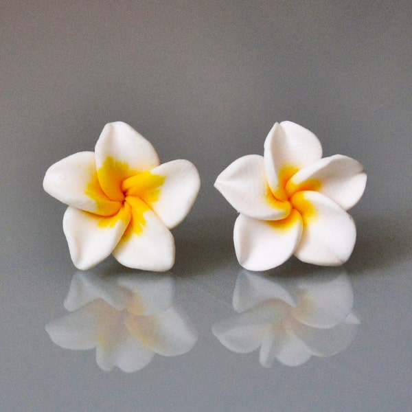 Summer Flowers  - Hawaii feeling Blüten - Flower - Plumeria - Frangipani