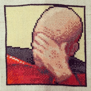 Jean-Luc Picard - Facepalm