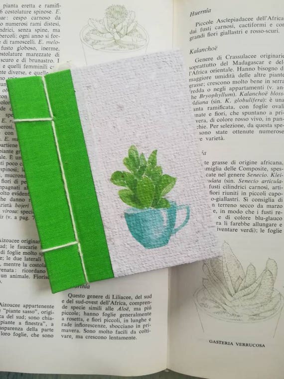 Garden Journal Bullet Journal Notebook Diary In Recycled Paper A7 Cactus