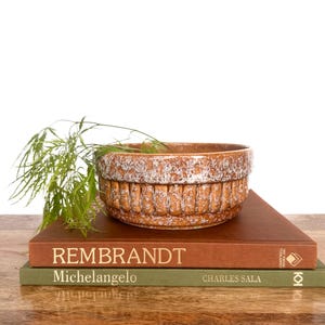 May include: A round ceramic planter with a brown and white mottled glaze and vertical ribbed detailing around the exterior. The planter sits atop two stacked hardcover books, one brown titled Rembrandt and one green titled Michelangelo.
