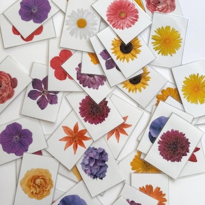 Juego de memoria y asociación de flores reales: tarjetas imprimibles de la naturaleza para niños y preescolares