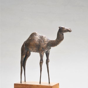 Bronze sculpture of camel - limited edition, fine art, art, original, sculpture, small, home decor, animal, figurine, statue, metal, bronze