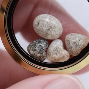 May include: A gold-toned locket with a black interior holds four small, smooth stones. Two stones are heart-shaped, and the others are oval. The stones are gray, tan, and speckled.